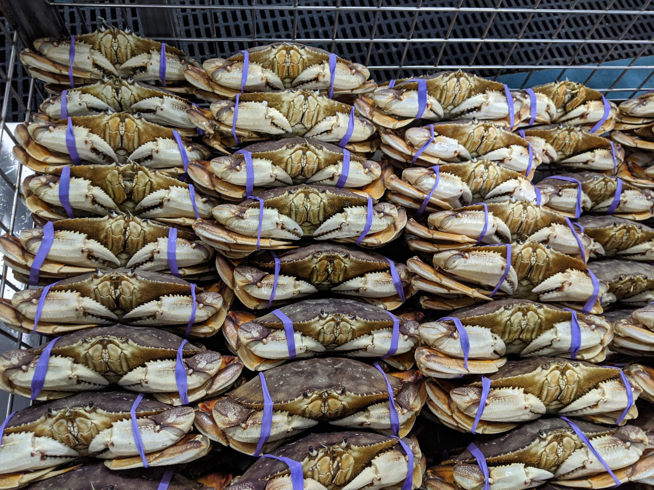 IMG 20200108 200615 scaled