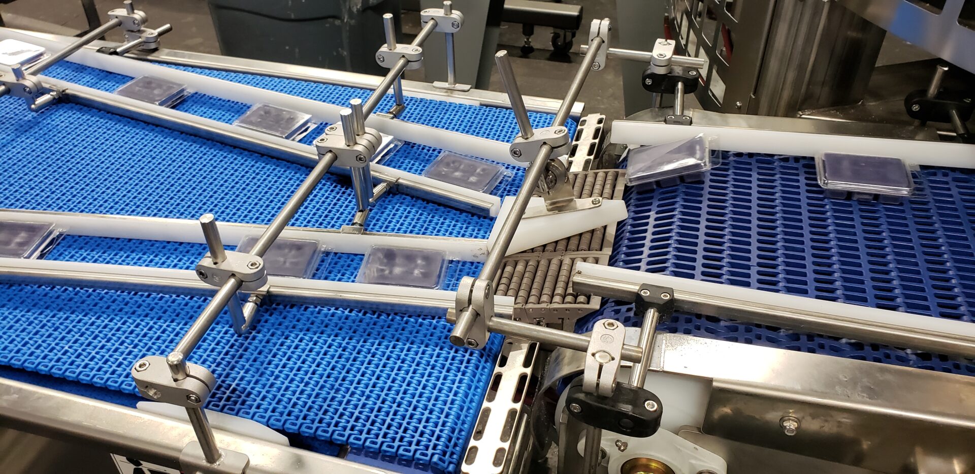 Singulator Conveyor Rimports 2021 1 (3)